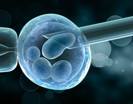 Avaliação genética pré-implantacional sem biópsia