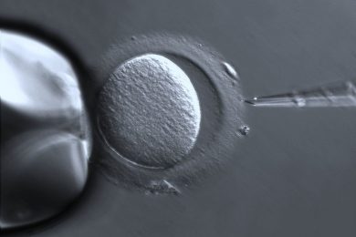 5 informações que você precisa saber sobre fertilização in vitro