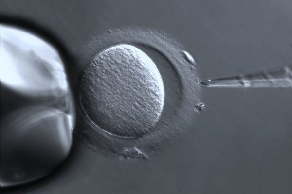 5 informacoes que voce precisa saber sobre fertilizacao in vitro 600x400